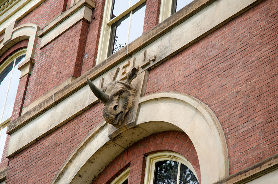 Second quiz image