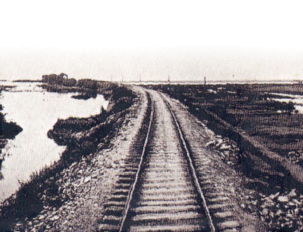 What Happened in Bolechow