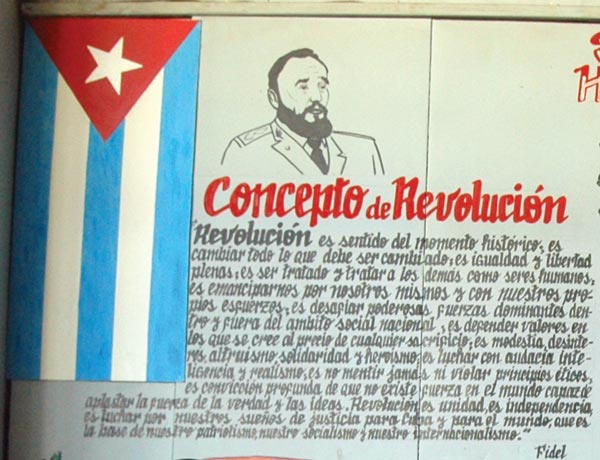 Cuba from the Bottom Up