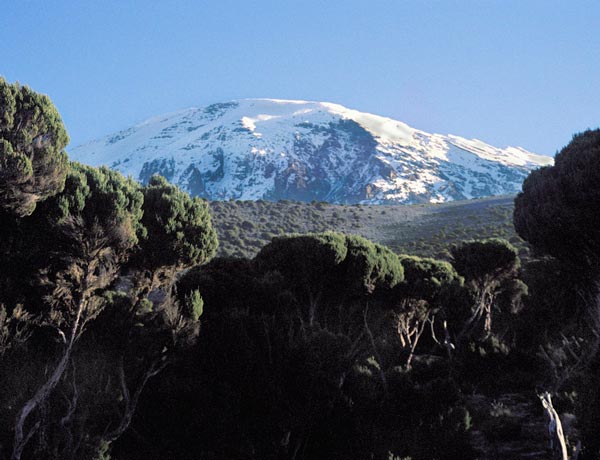 Scaling Kilimanjaro