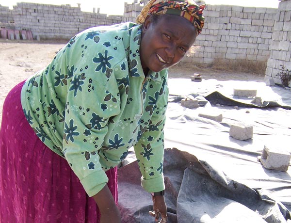 Heroes of a New World Economy