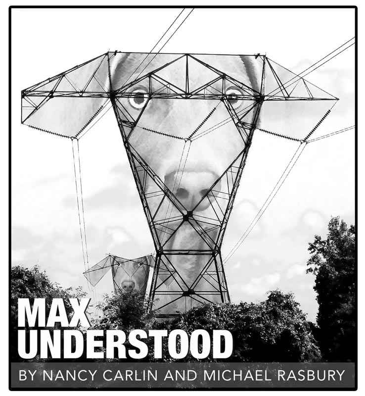 Album art for Max Understood