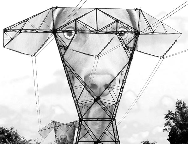 Do You Hear What I Hear?