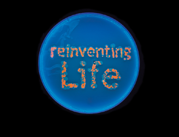 Reinventing Life