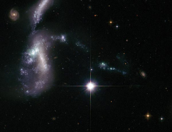 ‘Life of the Party’