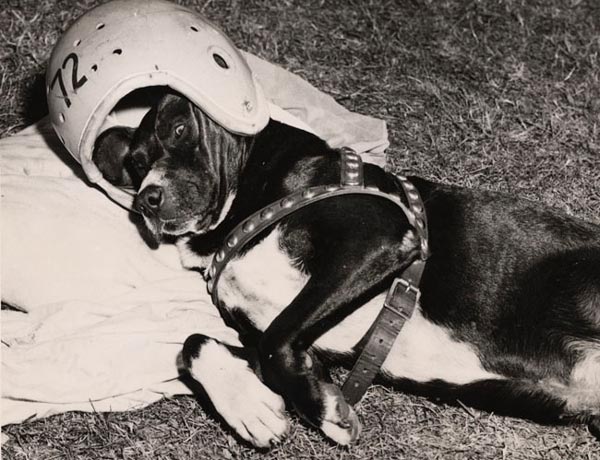 The Good, the Bad and the Ugly Club