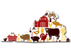 Over the River and Through the Woods