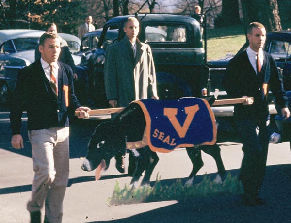 Laying the University's Dogs to Rest