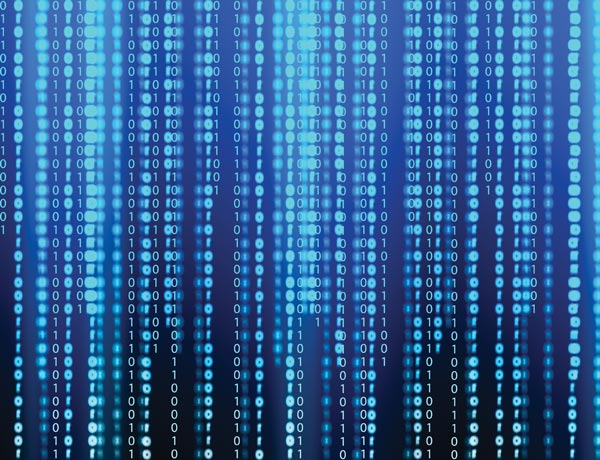 New Graduate Programs to Launch This Fall