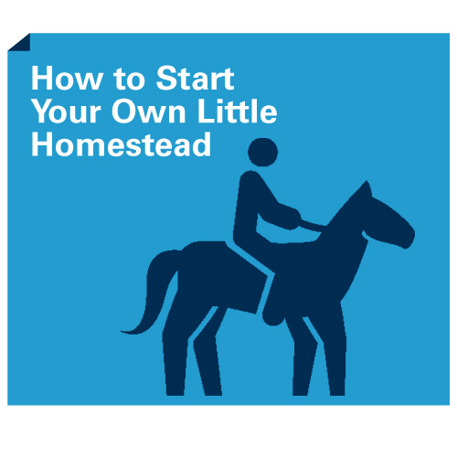 How to Start Your Own Little Homestead