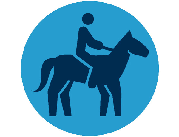 How to Begin Your Own Homestead