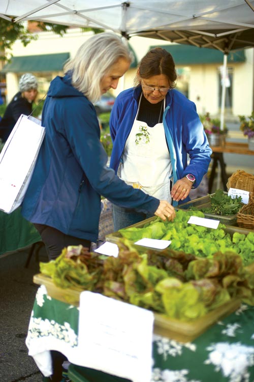 Shoppers inspecting produce at the City Market