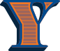 The letter 'Y'