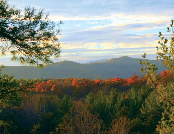 Charlottesville A to Z