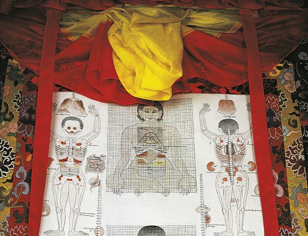 Tibetan Medicine Under the Microscope