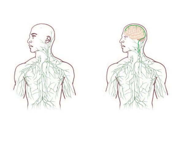 Potential Breakthrough for Alzheimer’s and Autism