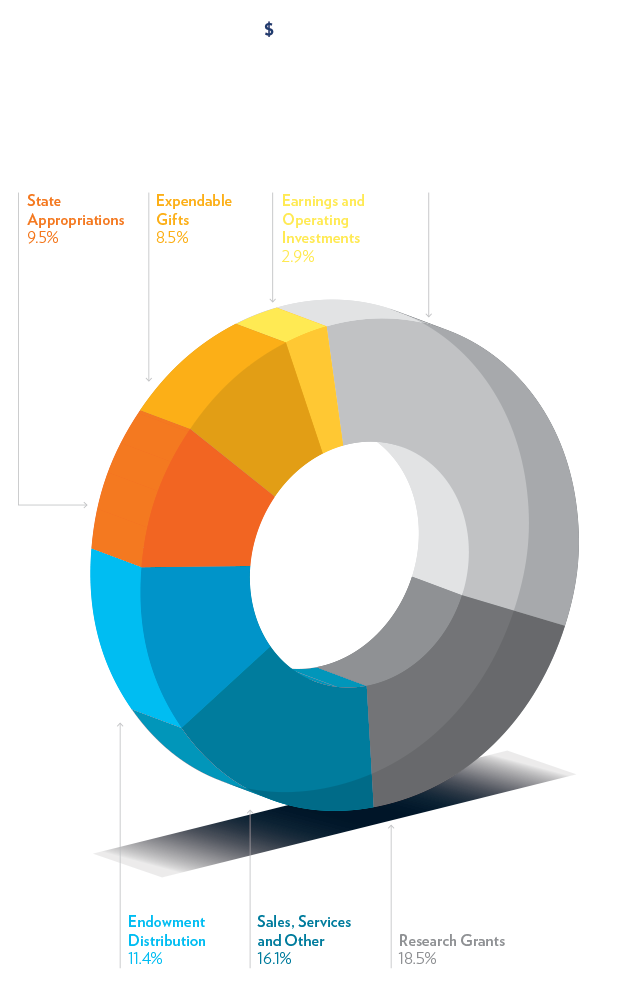 Pie chart showing sources of total revenue. Tuition and fees comprise 33.2%, followed by research grants (18.5%); sales, services, and other (16.1%); endowment distribution (11.4%); state appropriations (9.5%); expendable gifts (8.5%); and earnings and operating investments (2.9%).