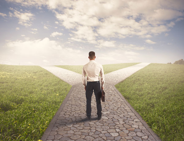 Your career, our services