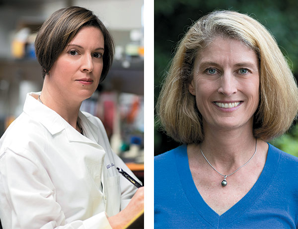 More New Institutes Tackle Global Issues