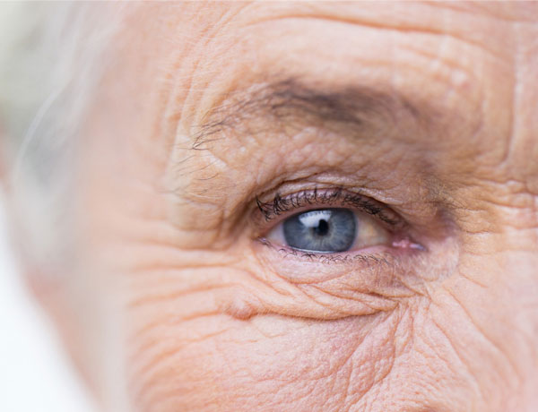 UVA Researchers Gain New Insights on Macular Degeneration