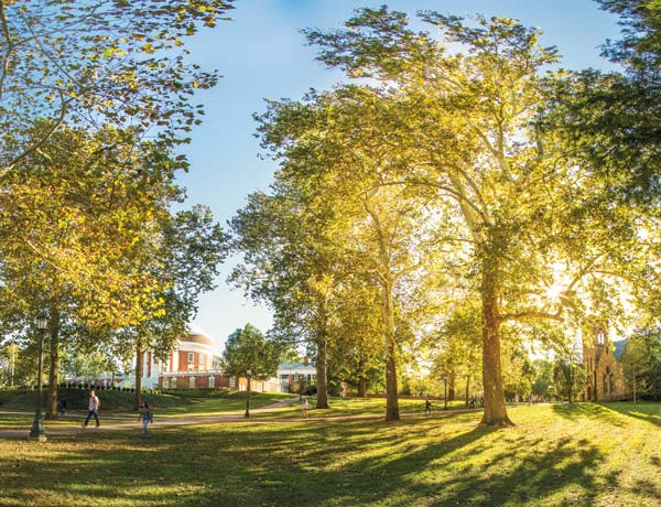 Living Legends: The Trees of Grounds