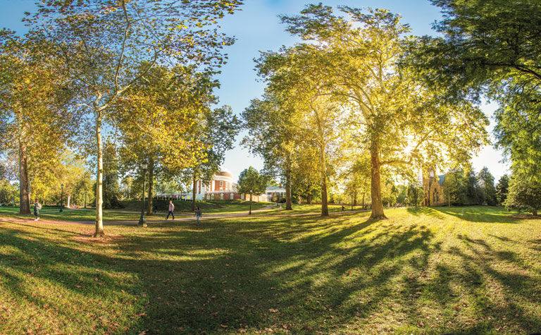 Sycamore trees between Rotunda and Chapel
