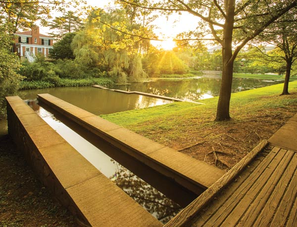 The Dell: It's beautiful. It's serene. And it makes UVA basketball possible.