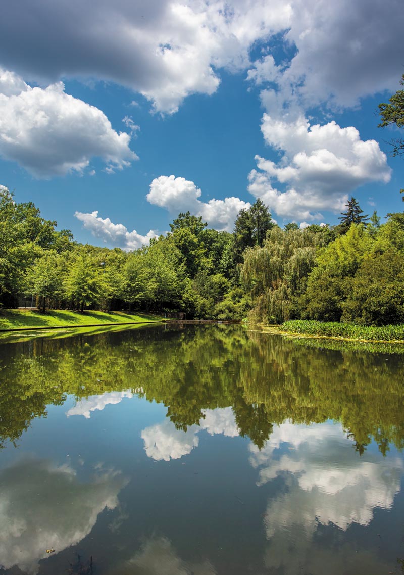 The pond in the Dell