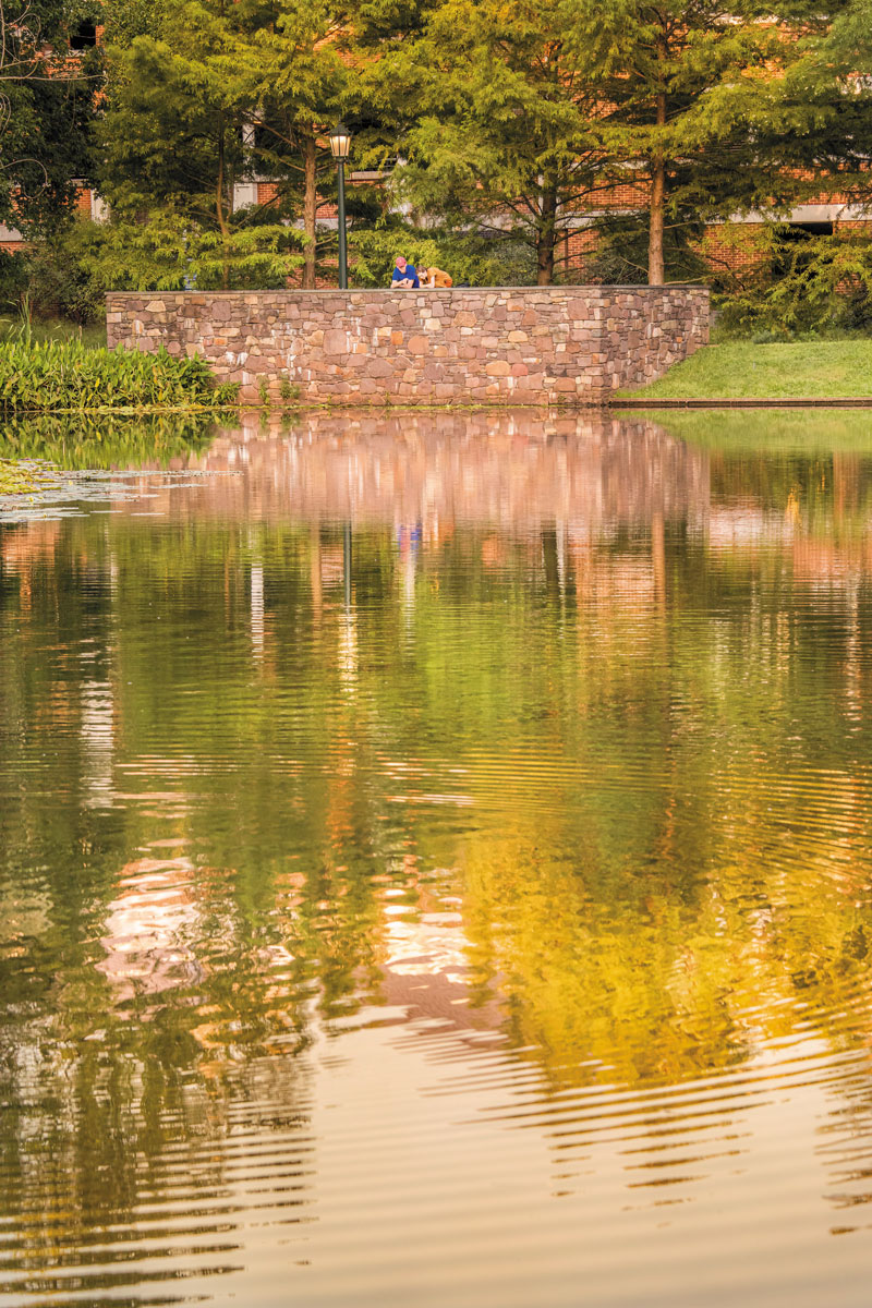 The pond at the Dell