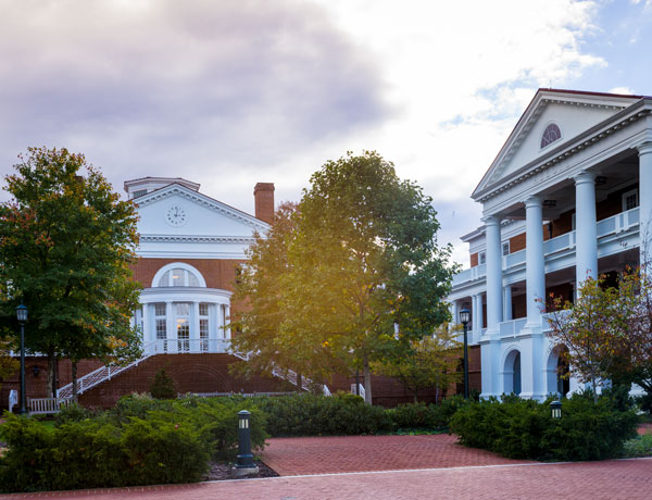 Darden goes big into continuing ed and construction