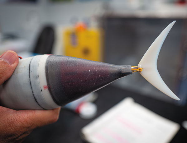 Researchers try to outswim a tuna