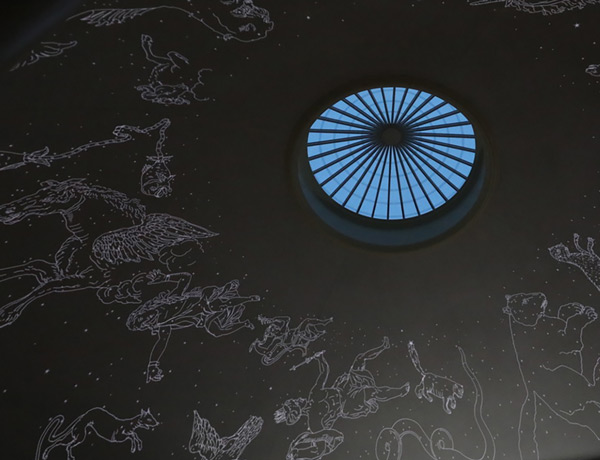 Starry Night Under the Dome