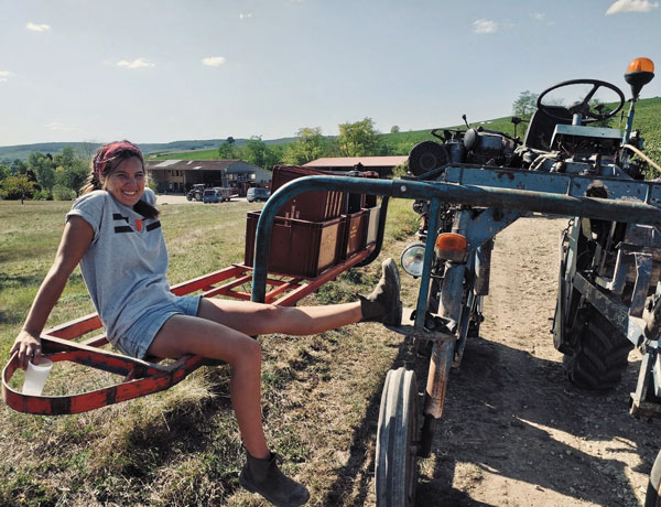 Alumna learns craft of Champagne-making during French apprenticeship