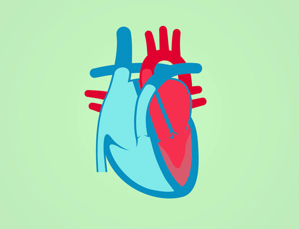 Study seeks better identification for a heart disease