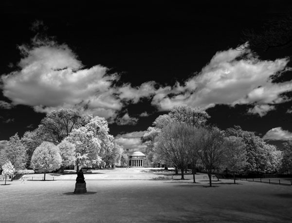 The surreal semester and what comes after