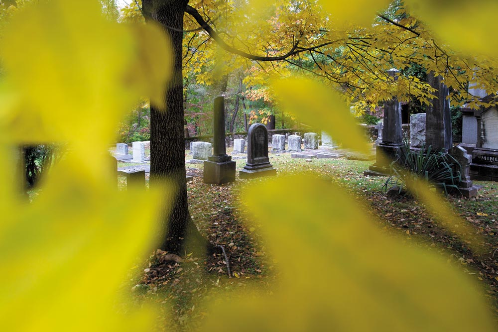 The University Cemetery