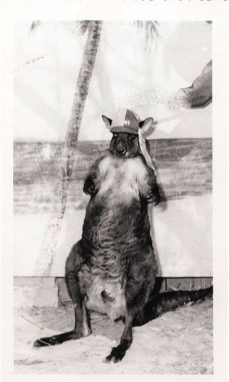 One of the original Moes, VMI's kangaroo mascot