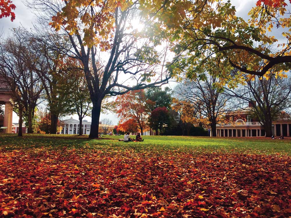 Autumn on UVA Lawn