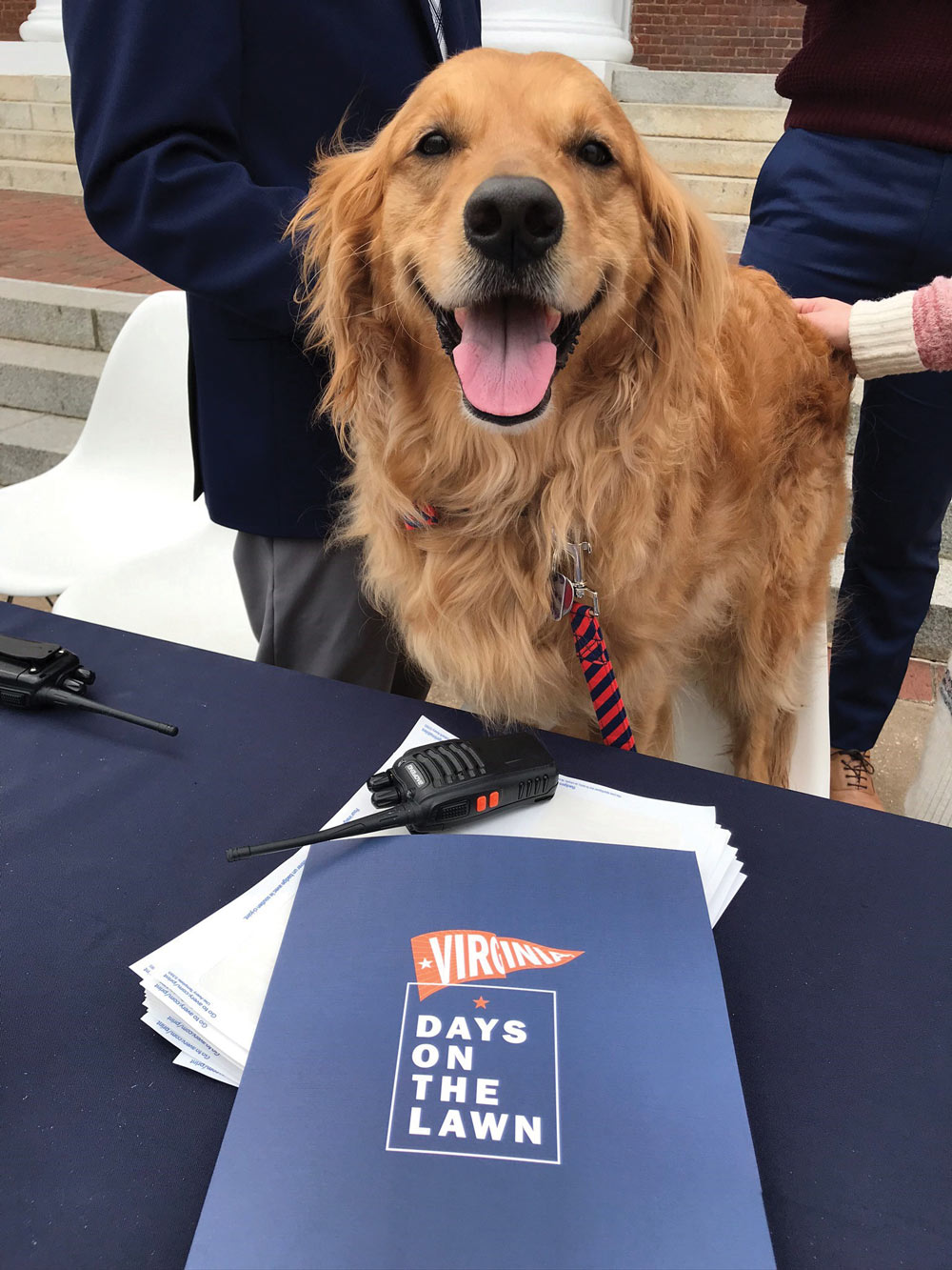 UVA Associate Dean of Admission Jeannine Lalonde's dog Jackeannine Lalonde