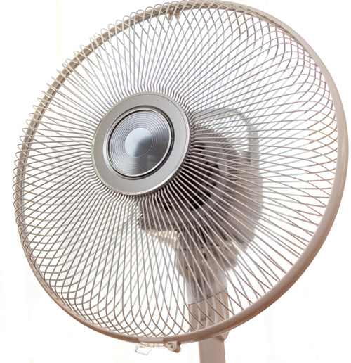 Fan