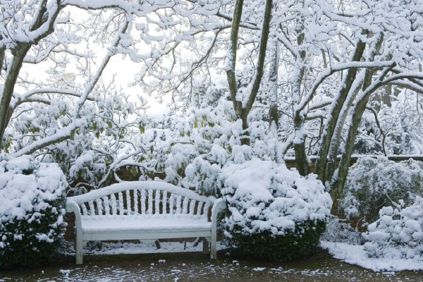 Grounds in the snow