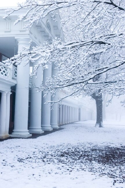 The Lawn in snow