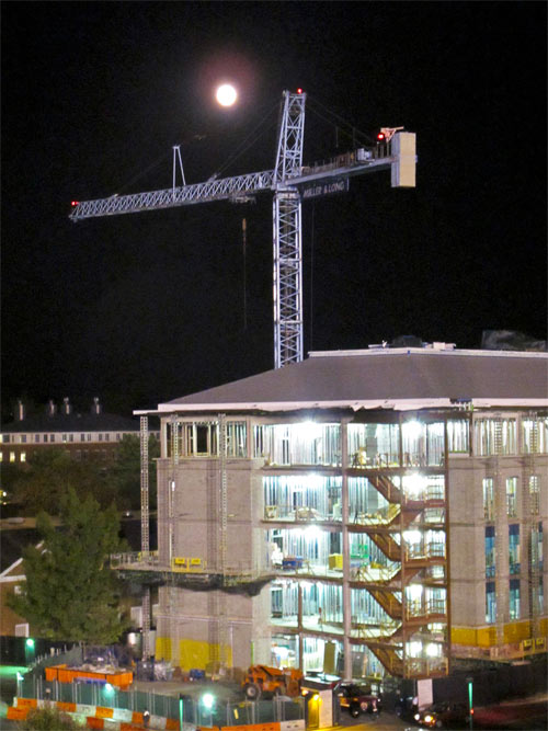 Full Moon over Crane