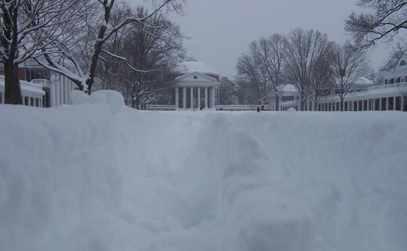 The Lawn in Snow