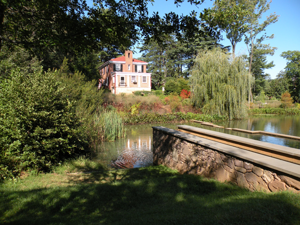Dell Pond #1