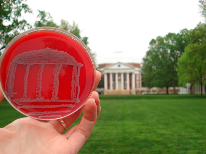 Petri Dish Rotunda