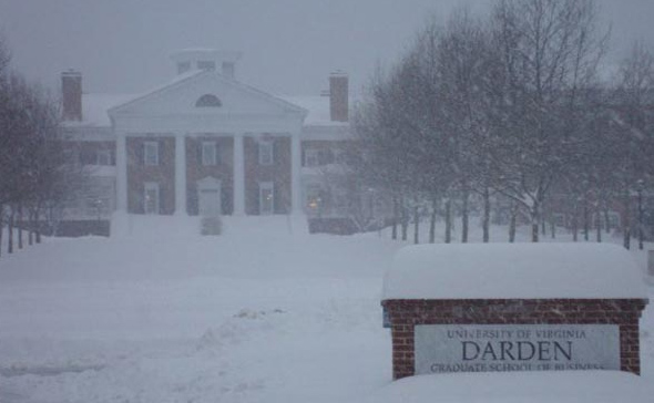 Darden in the snow