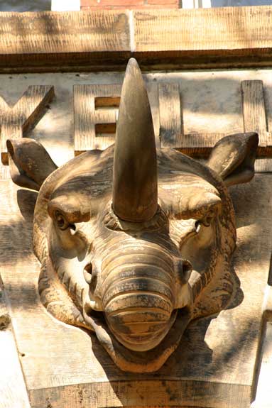 Brooks Hall creature
