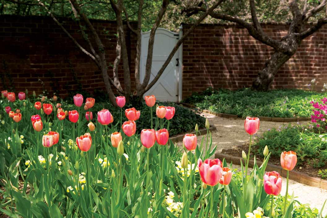 Pavilion Garden in Spring